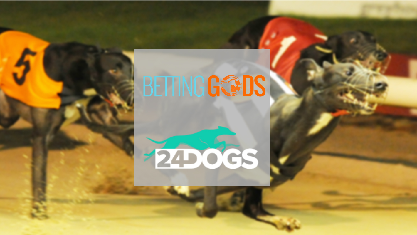 BettingGods partners with 24Dogs