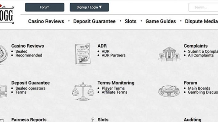 ThePOGG Relaunches: Quality Design to Match