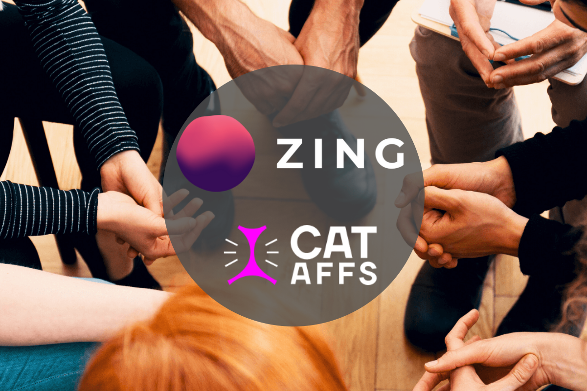 CatAffs brands soar following ZingBrain AI integration
